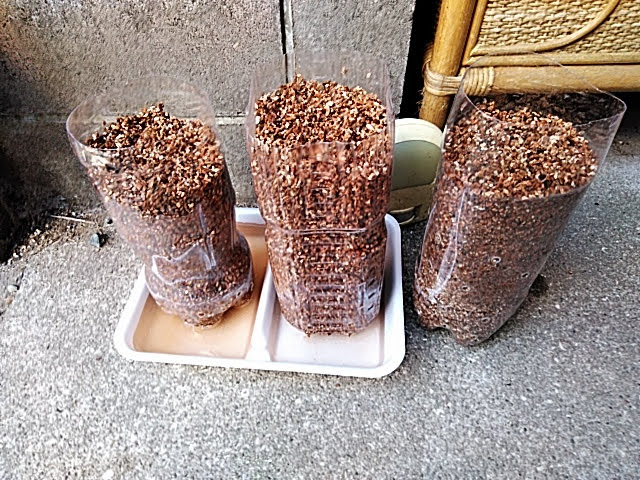 f:id:opamee:20190613085813j:plain f:id:opamee:20190613085813j:plain