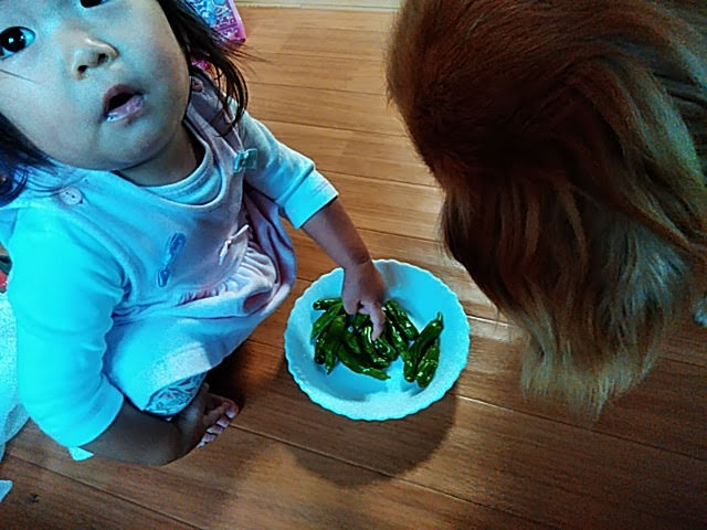 f:id:opamee:20190615124852j:plain f:id:opamee:20190615124852j:plain