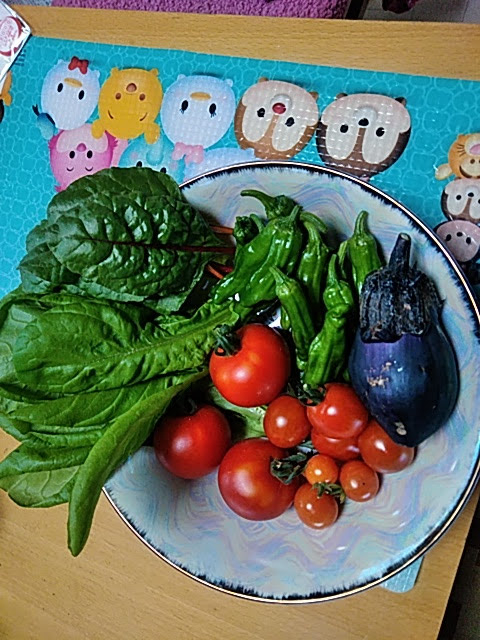 f:id:opamee:20190625191151j:plain f:id:opamee:20190625191151j:plain