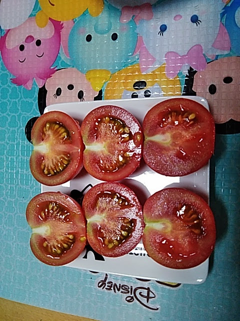 f:id:opamee:20190625191220j:plain f:id:opamee:20190625191220j:plain