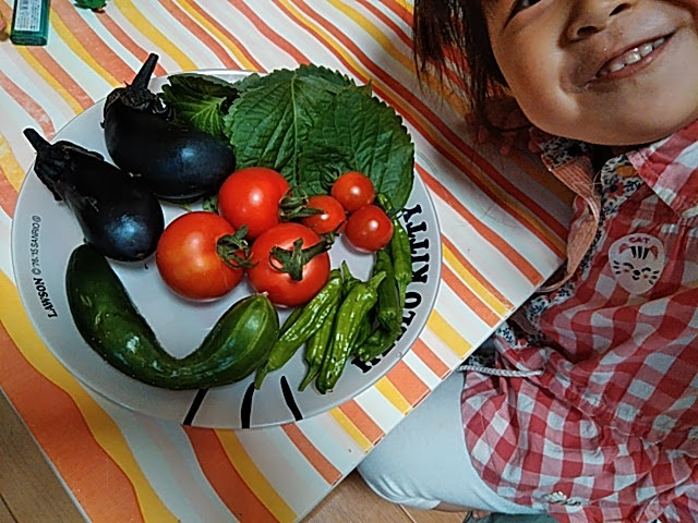 f:id:opamee:20190629201411j:plain f:id:opamee:20190629201411j:plain