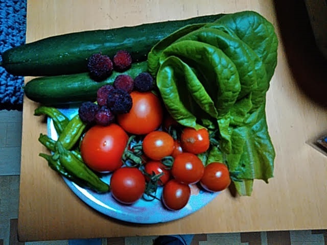 f:id:opamee:20190703212427j:plain f:id:opamee:20190703212427j:plain
