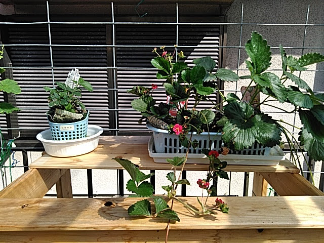 f:id:opamee:20190708204416j:plain f:id:opamee:20190708204416j:plain