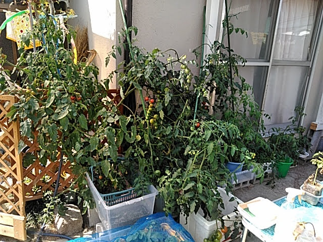 f:id:opamee:20190708215311j:plain f:id:opamee:20190708215311j:plain