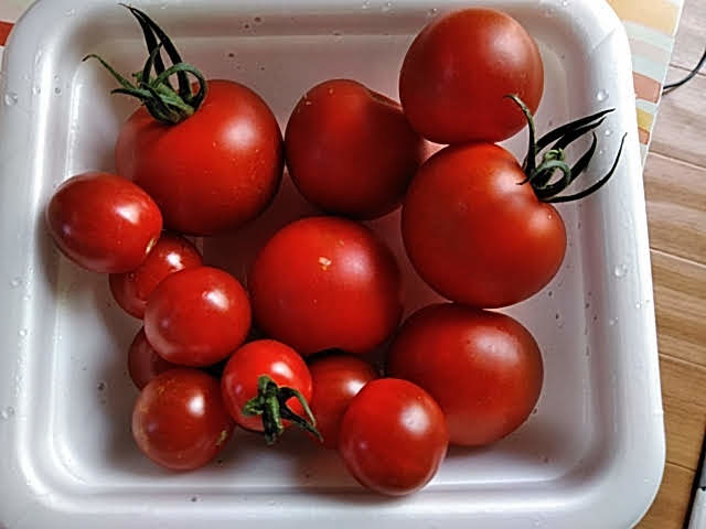 f:id:opamee:20190712215327j:plain f:id:opamee:20190712215327j:plain
