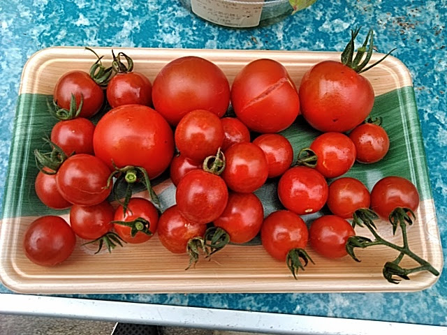 f:id:opamee:20190715120822j:plain f:id:opamee:20190715120822j:plain