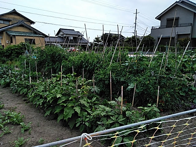 f:id:opamee:20190717214215j:plain f:id:opamee:20190717214215j:plain