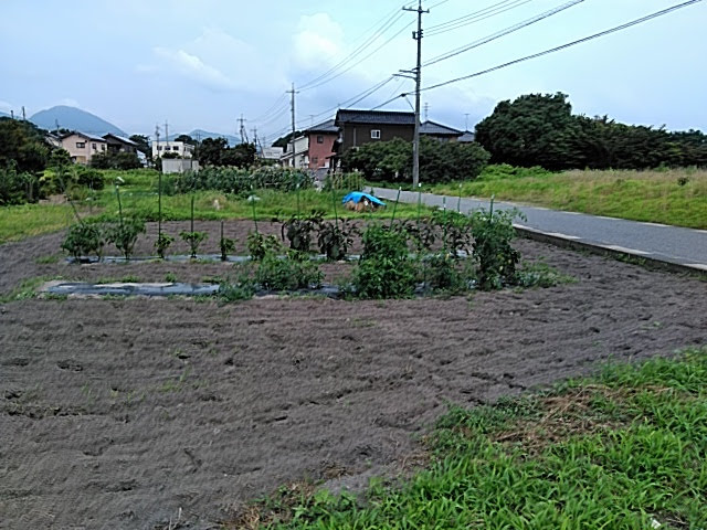 f:id:opamee:20190717214320j:plain f:id:opamee:20190717214320j:plain
