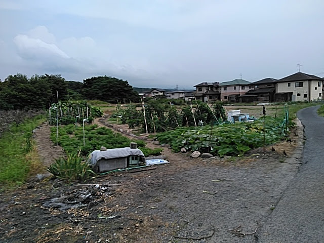 f:id:opamee:20190717214629j:plain f:id:opamee:20190717214629j:plain