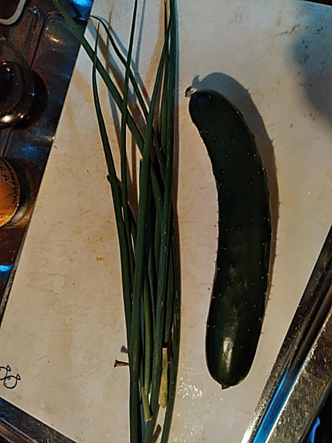 f:id:opamee:20190717214805j:plain f:id:opamee:20190717214805j:plain