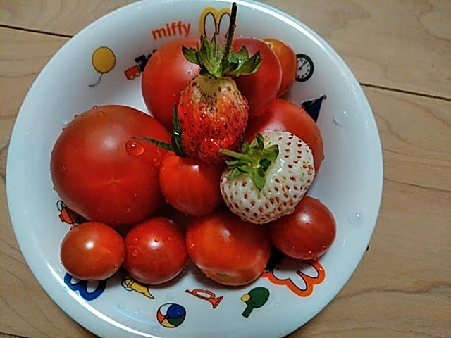 f:id:opamee:20190717214845j:plain f:id:opamee:20190717214845j:plain