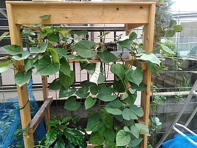 f:id:opamee:20190722225743j:plain f:id:opamee:20190722225743j:plain