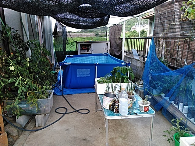 f:id:opamee:20190725202848j:plain f:id:opamee:20190725202848j:plain