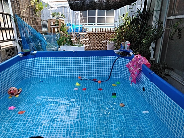f:id:opamee:20190725204244j:plain f:id:opamee:20190725204244j:plain