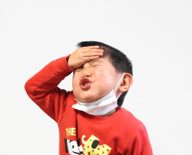 f:id:open24:20190122233736j:plain f:id:open24:20190122233736j:plain