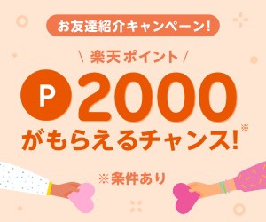 f:id:openpensan:20200408105251j:plain