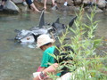20080726153214
