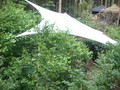 20080726155432