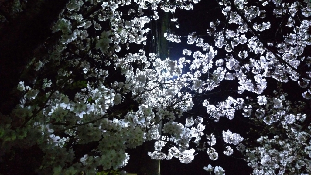 f:id:opensourcetech:20180326203605j:plain