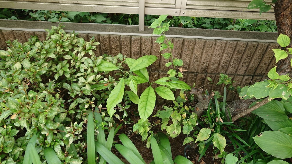 f:id:opensourcetech:20190730092106j:plain
