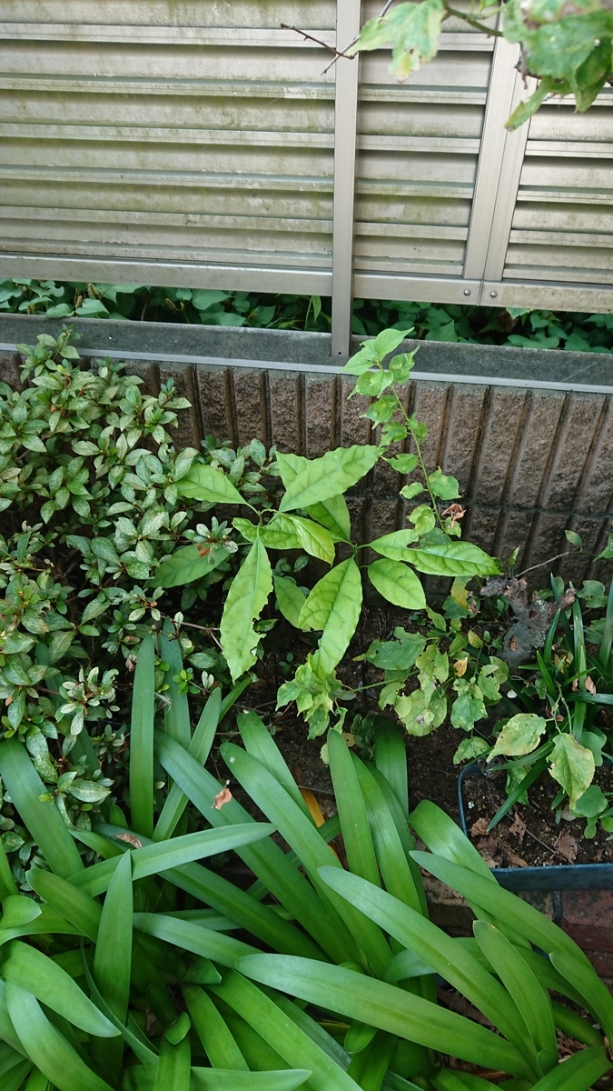 f:id:opensourcetech:20190731081208j:plain