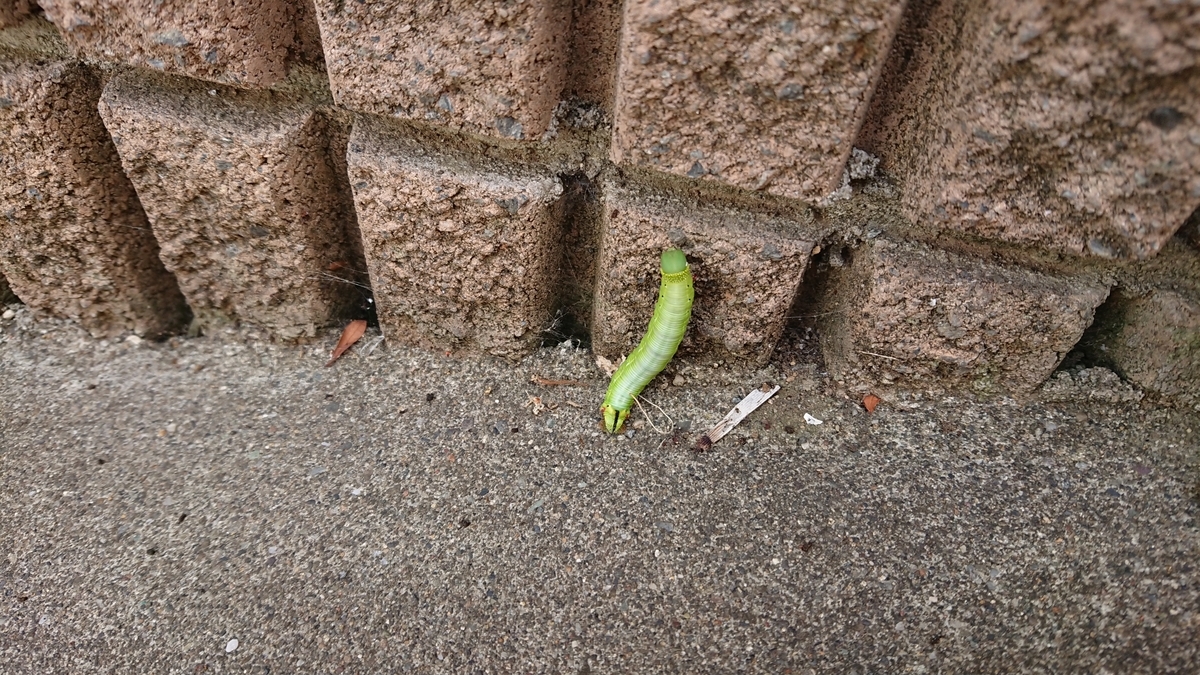 f:id:opensourcetech:20190812095113j:plain