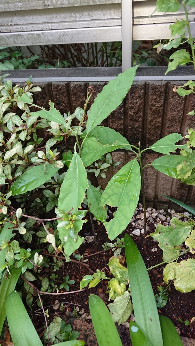f:id:opensourcetech:20190822075036j:plain