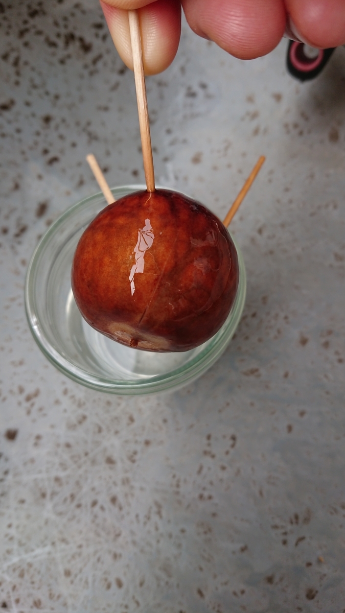 f:id:opensourcetech:20190828071532j:plain
