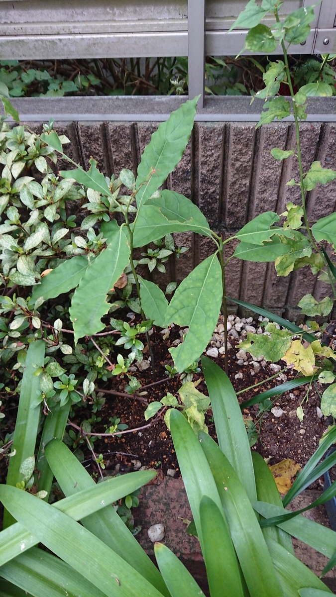 f:id:opensourcetech:20190903062709j:plain