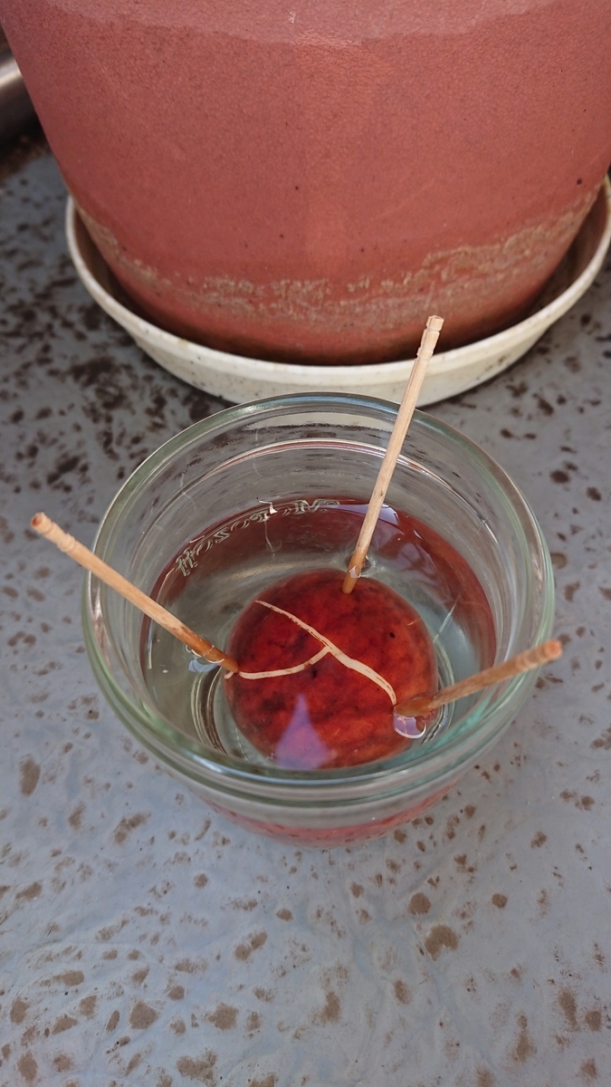f:id:opensourcetech:20190906073614j:plain