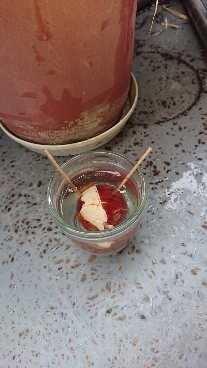 f:id:opensourcetech:20190913071927j:plain