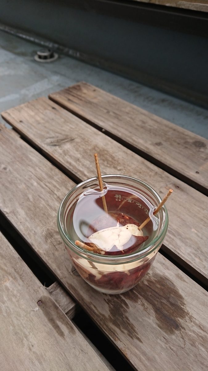 f:id:opensourcetech:20190921101422j:plain