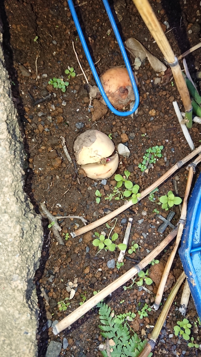 f:id:opensourcetech:20191016071155j:plain