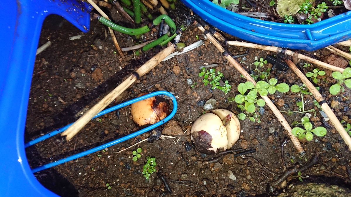 f:id:opensourcetech:20191022091808j:plain