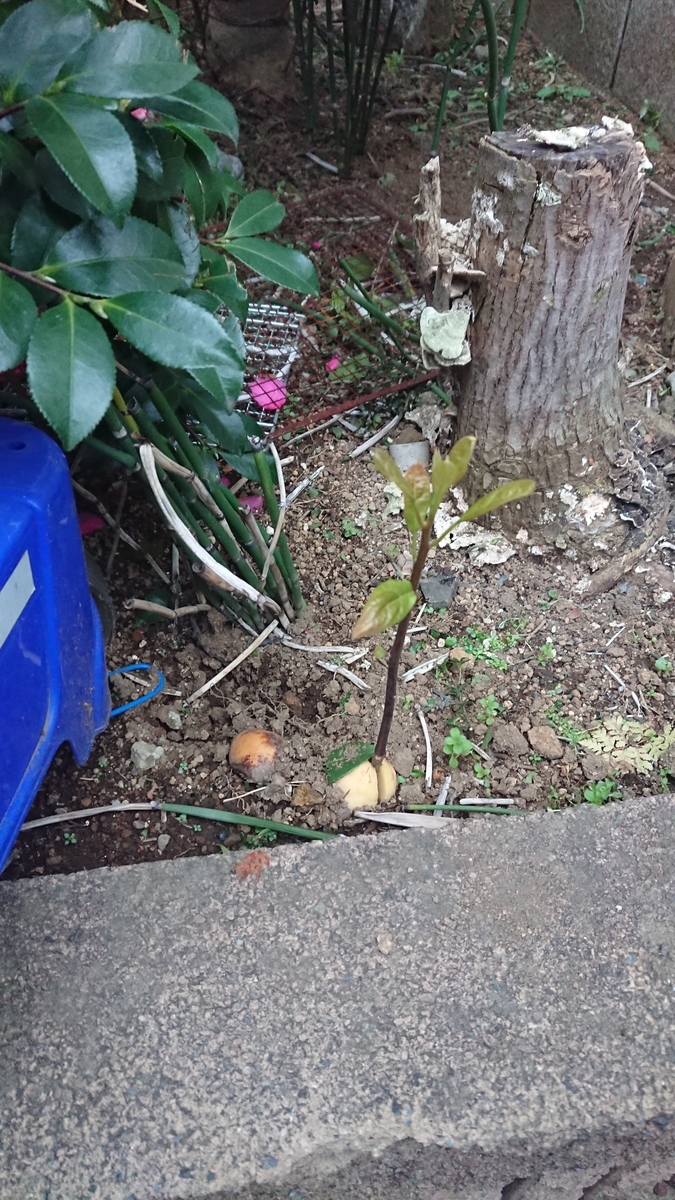 f:id:opensourcetech:20191221153454j:plain