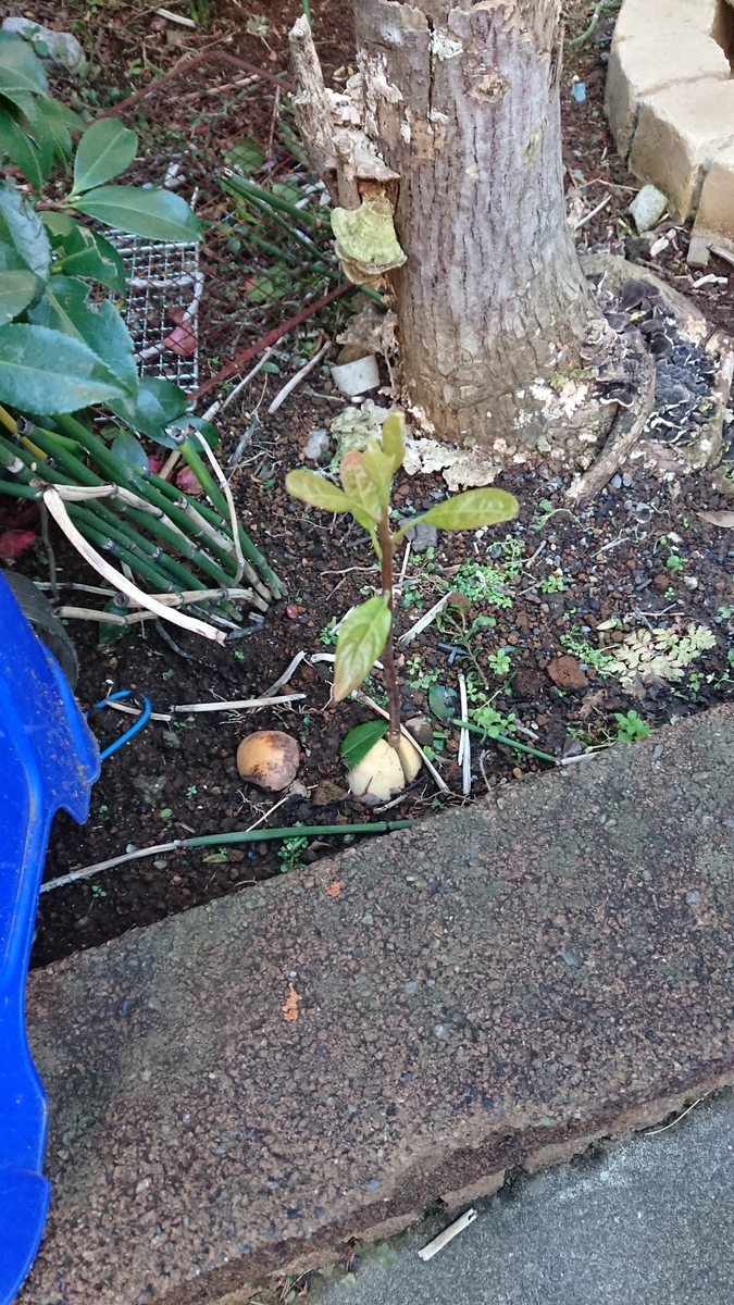 f:id:opensourcetech:20191224072812j:plain