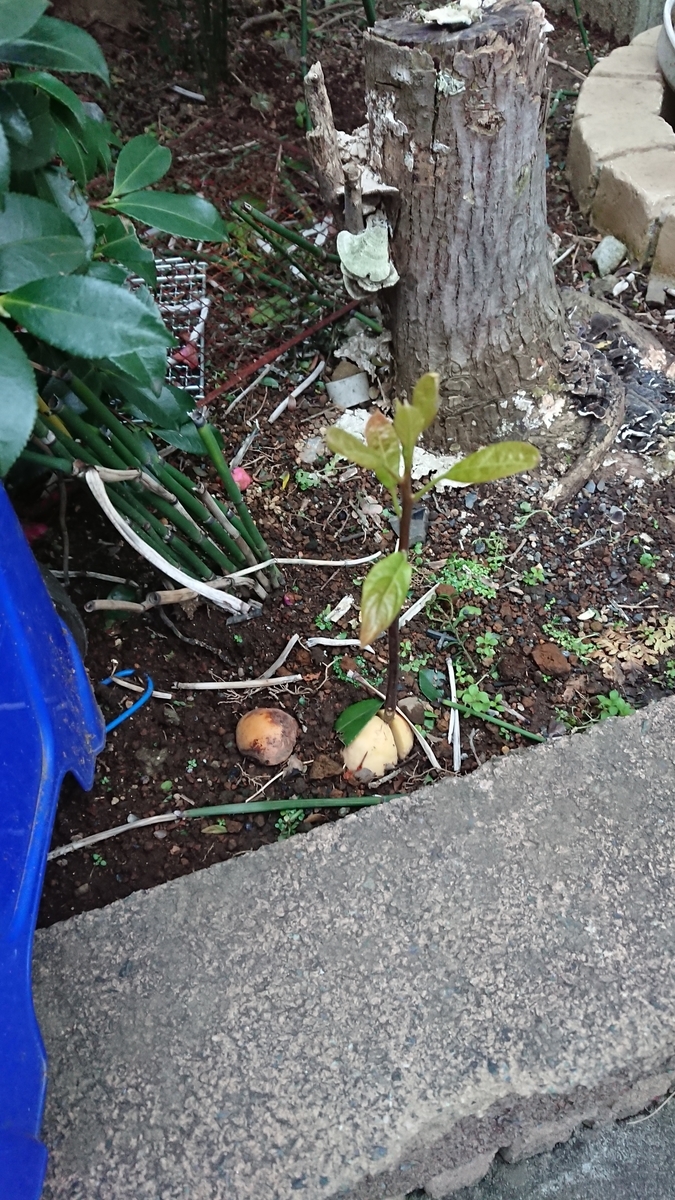 f:id:opensourcetech:20191225072255j:plain