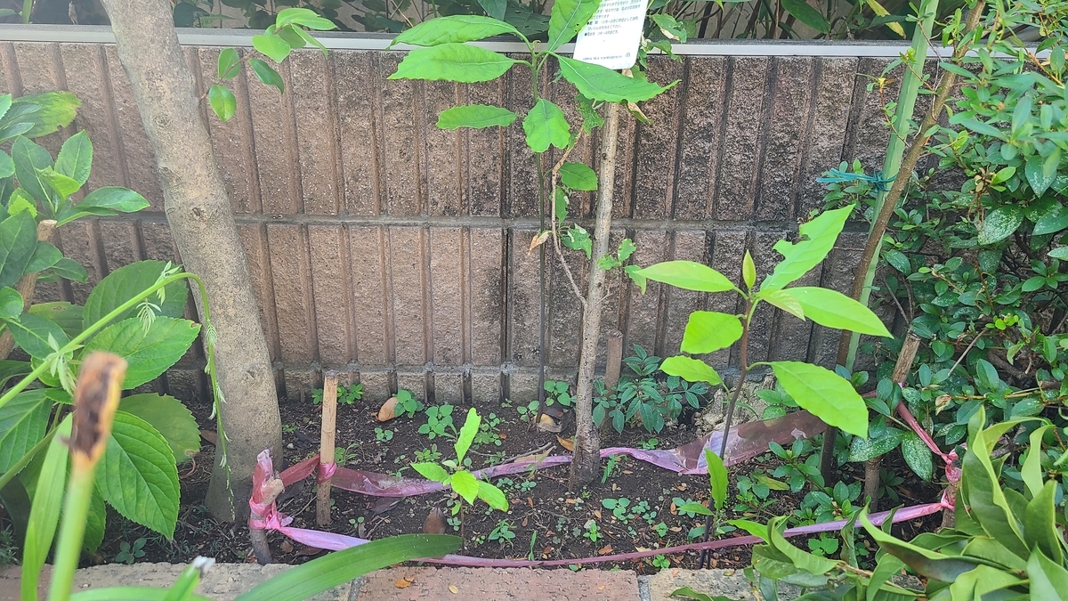 f:id:opensourcetech:20200811071616j:plain