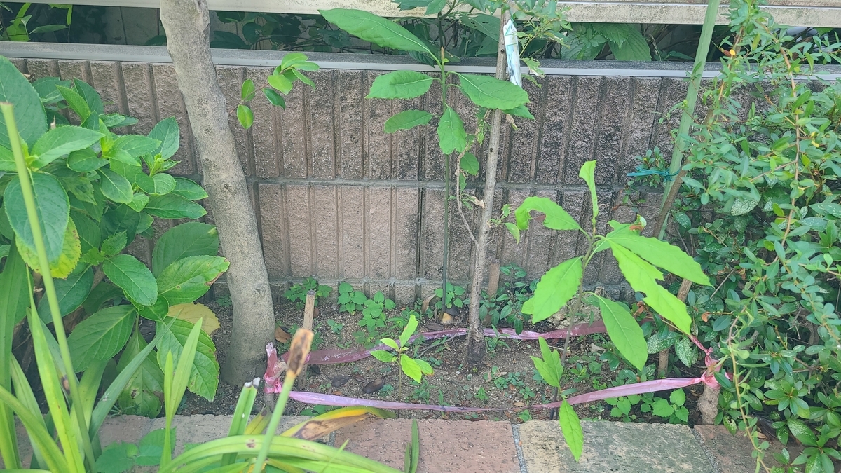 f:id:opensourcetech:20200821065759j:plain