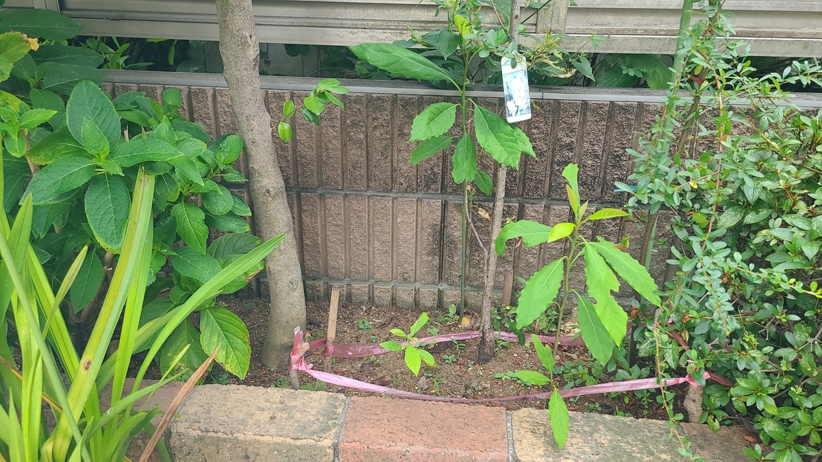 f:id:opensourcetech:20200902071357j:plain