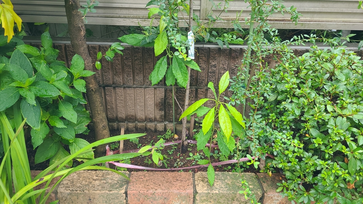 f:id:opensourcetech:20200912101607j:plain