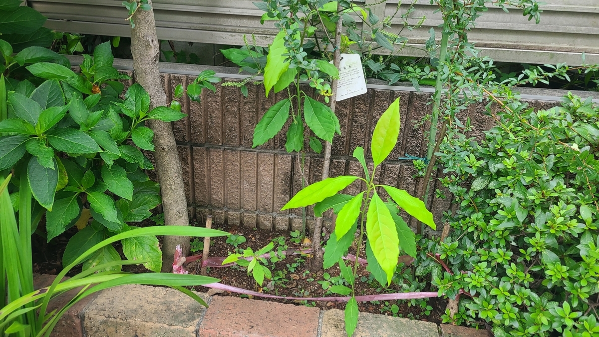 f:id:opensourcetech:20200919074603j:plain