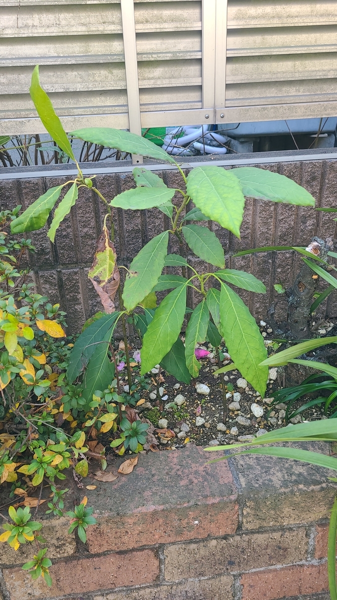 f:id:opensourcetech:20201227110812j:plain