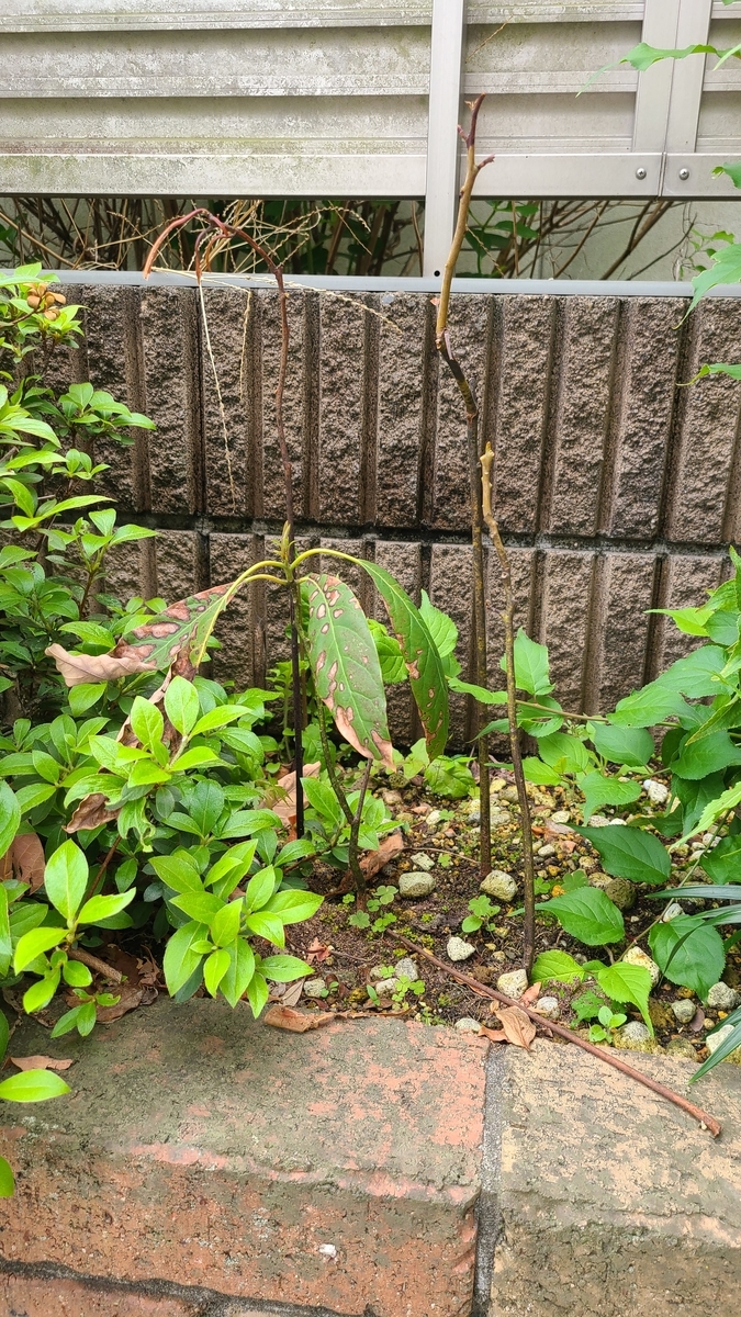 f:id:opensourcetech:20210416072722j:plain