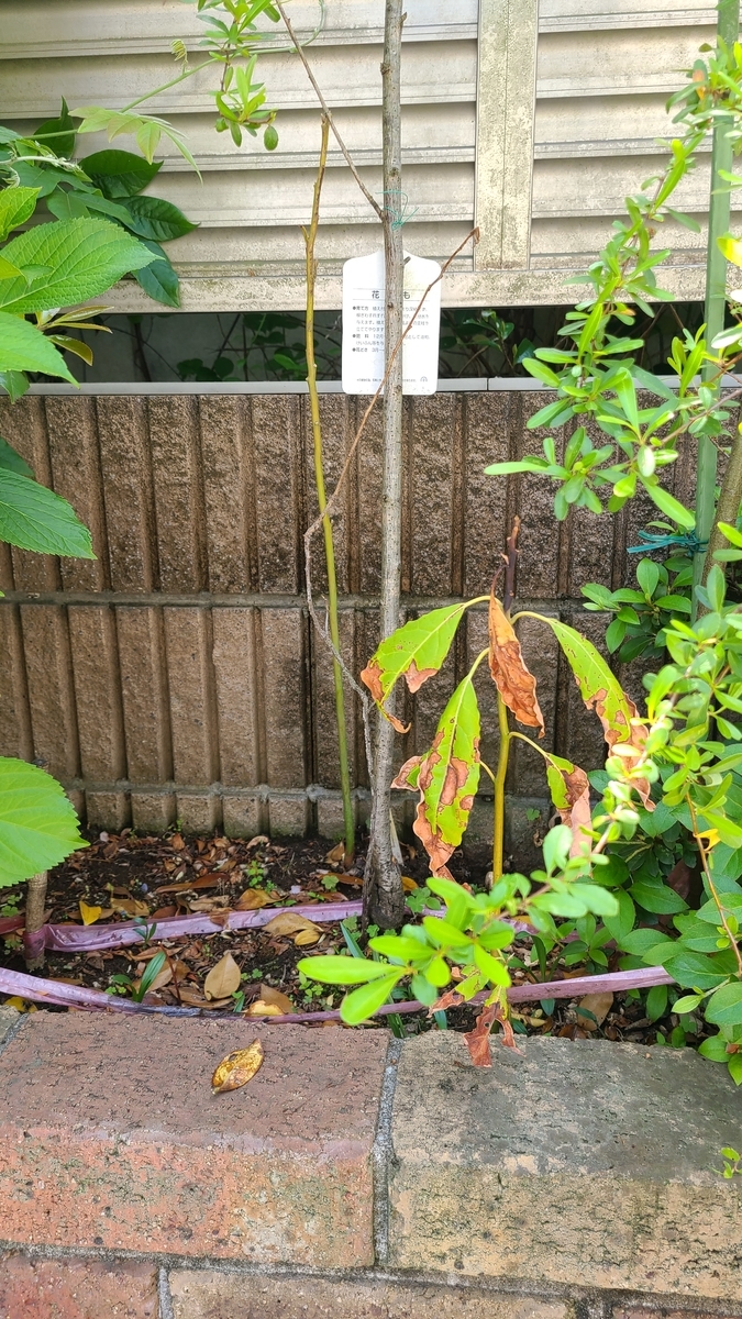 f:id:opensourcetech:20210501095108j:plain