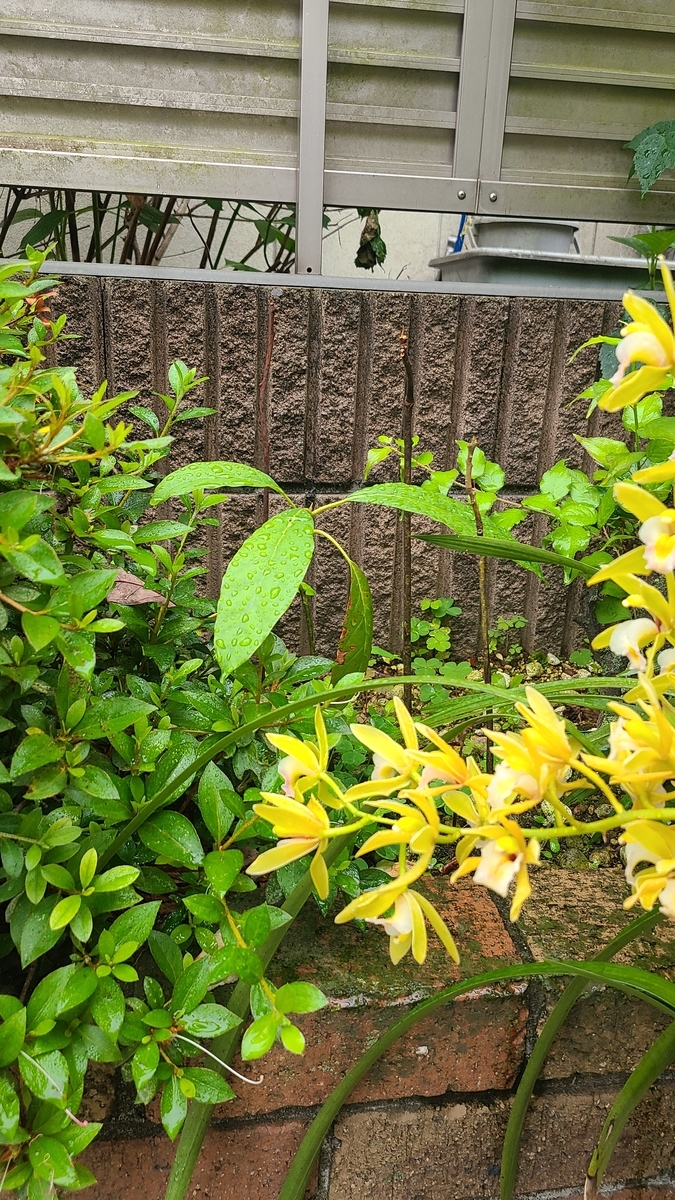 f:id:opensourcetech:20210527073604j:plain