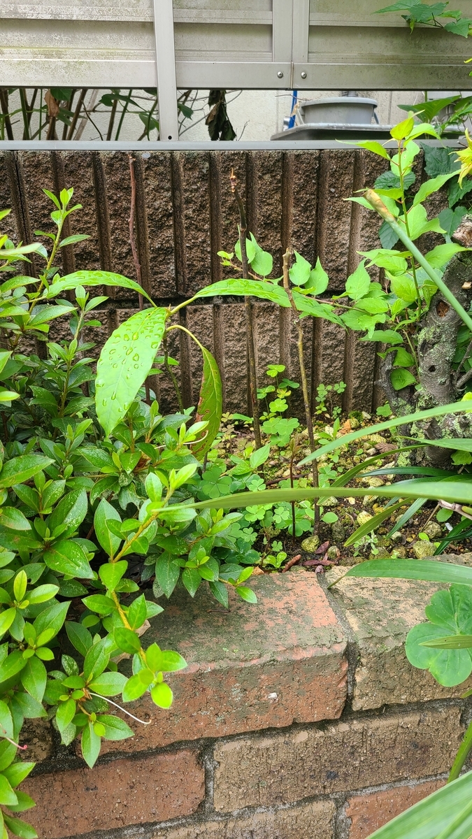 f:id:opensourcetech:20210531071422j:plain