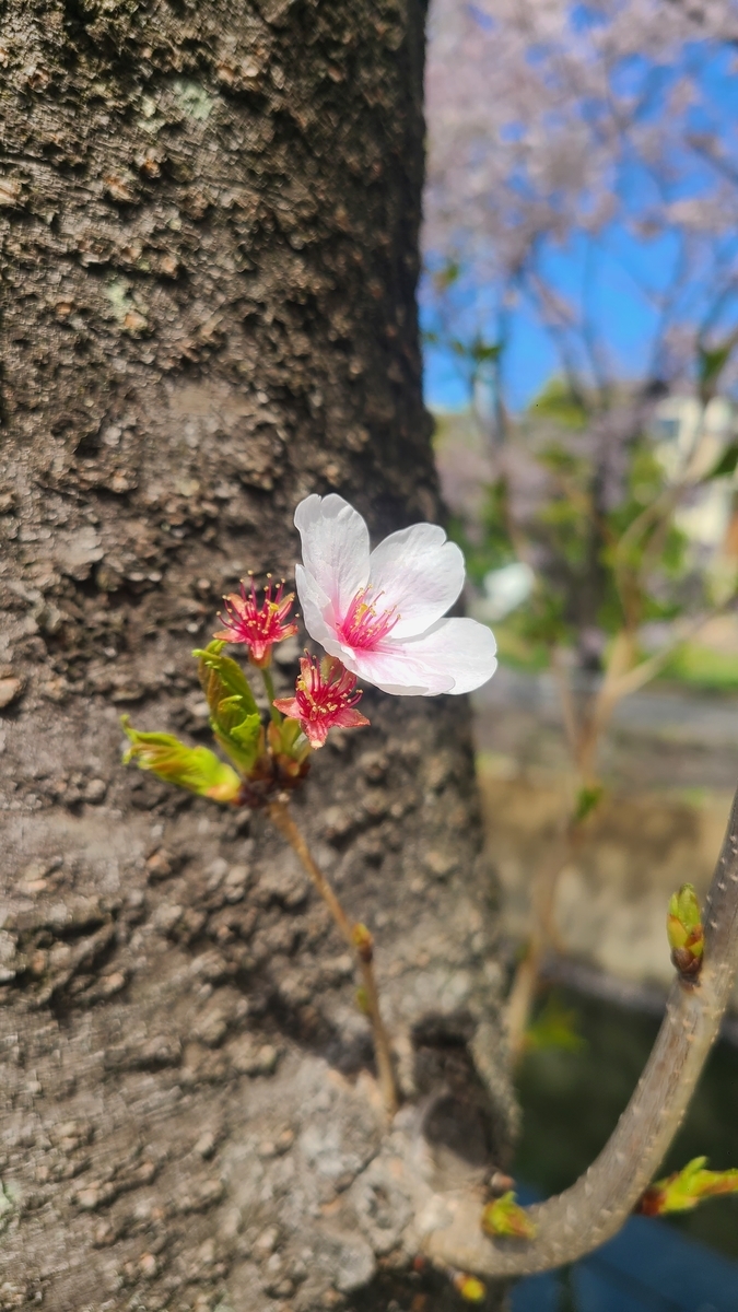 f:id:opensourcetech:20220402095344j:plain