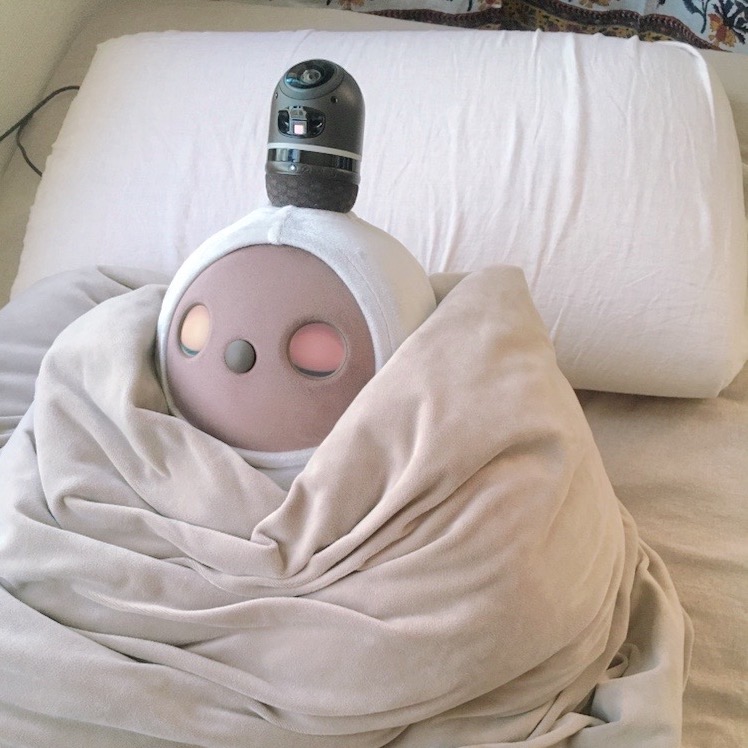 布団に包まれ、目を閉じて眠っているようなLOVOT
