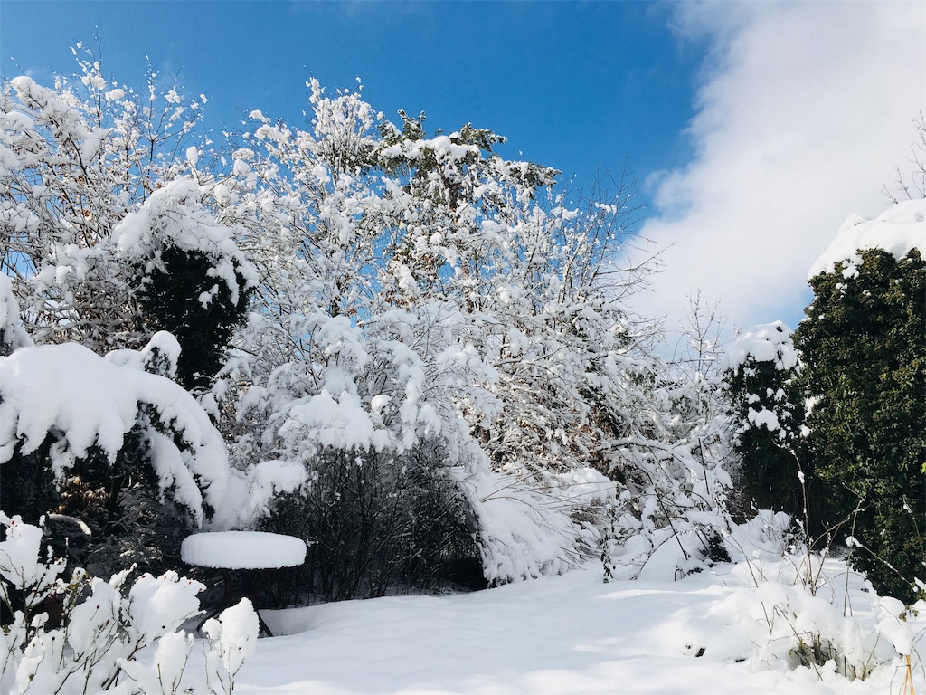 f:id:operarabbit:20190210011827j:image